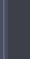 ZH stripe 6
