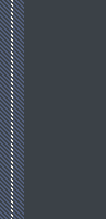ZH stripe 6