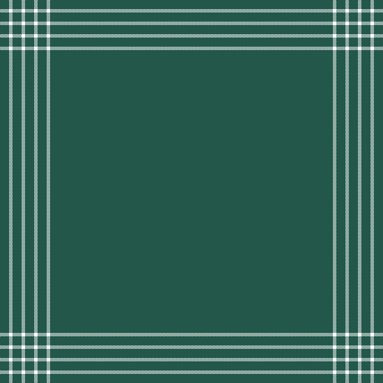 Green with White Stripes Shawl (2)