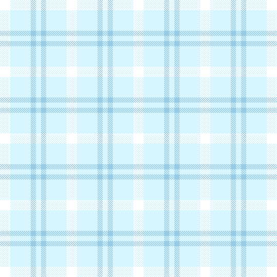 light blue plaid 2
