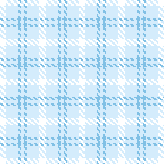light blue plaid 3