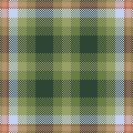 Meadows Test Plaid