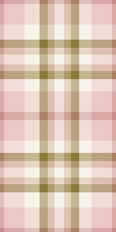 4 plaid 30 jun 26