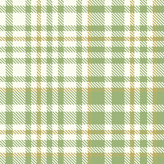 gem PLAID NEW 10