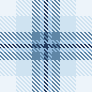 Baby blue plaid