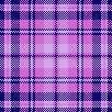 Navy pink lilac