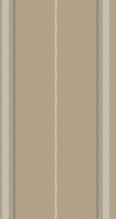 ZH stripe 5