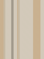 ZH stripe 35