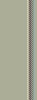 ZH stripe 37