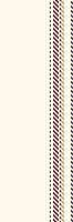 ZH stripe 38