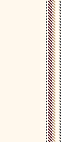 ZH stripe 39