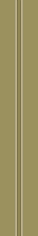 ZH stripe 40