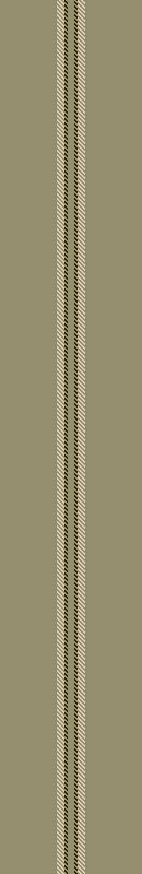 ZH stripe 41