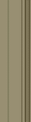 ZH stripe 43