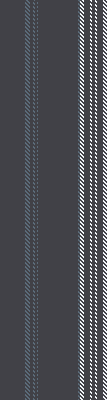 ZH stripe 49