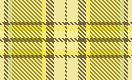 tit_yellow