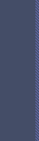 ZZ stripe 5