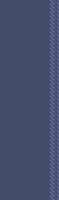 ZZ stripe 6