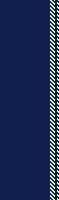VERTICAL LIME