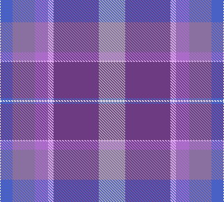 Plaid Blue Purple