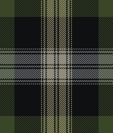 forest plaid 2