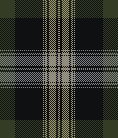 FOREST 3