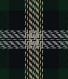 HUNTER  GREEN PLAID