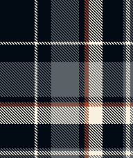 NAVY TWILL PLAID