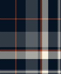 NAVY TWILL PLAID 2
