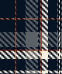 NAVY TWILL PLAID 3