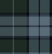 PLAID GREEN 1