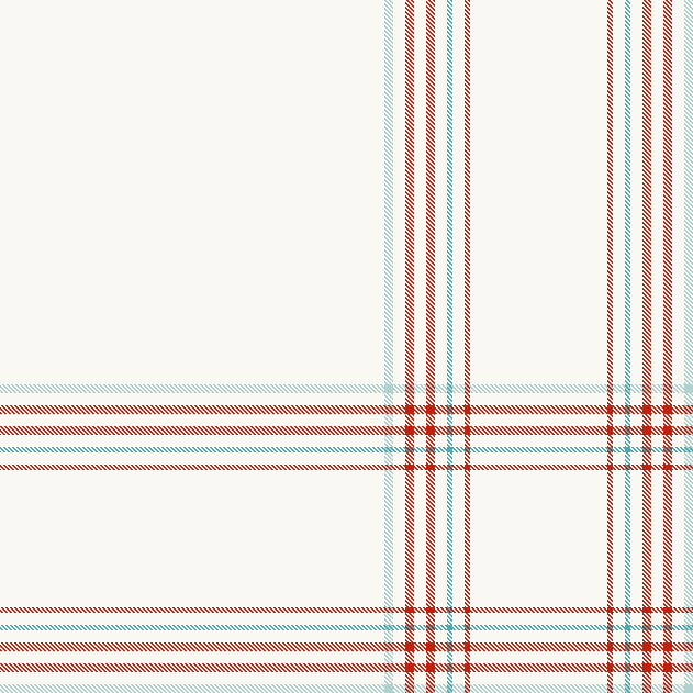 Oversized Check 4