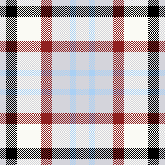 plaid w black new