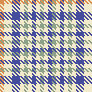 twill checks