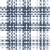 S27 LSH GAZ BLUE CHECKS