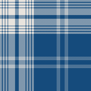 S27 SSH BLUE CHECKS V2
