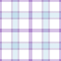 AW27 TG PURPLE BLUE CHECK