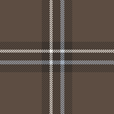 twill checks