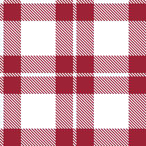 Maroon and White Plaid