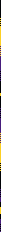 Purple and Yellow Stripe