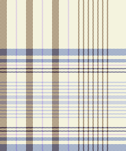 summer plaid 3