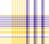Purple and Gold Plaid Light