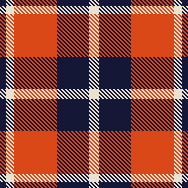 Unknown Flannel Tartan #1