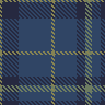 C new check 2