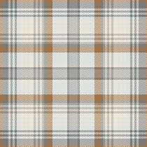 CWJ-F108 PLAID 02
