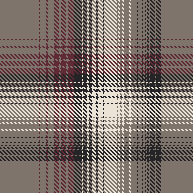 SHADOW PLAID FLANNEL 2