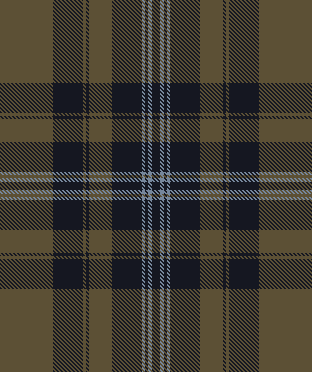 C new check 38