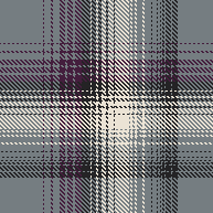 FADED CHECK 4