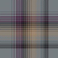 FADED CHECK 5