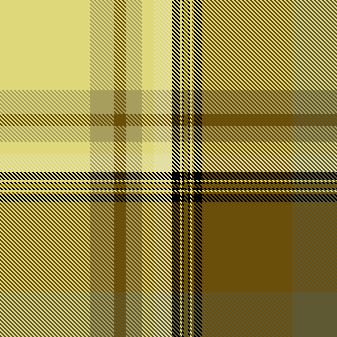lia plaid2